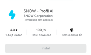 SNOW - Profil AI
